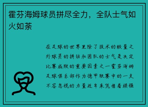 霍芬海姆球员拼尽全力，全队士气如火如荼